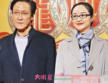 向華勝,劉德華