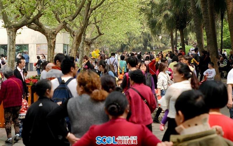 清明小長假第一天 成都動物園游客爆滿