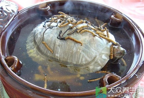 這9種海鮮是癌癥的克星 這9種海鮮是癌癥的克星,很多人并不知道!(2)