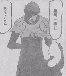 《死神》683話先導(dǎo)圖 藍(lán)染、一戶組成CP大戰(zhàn)有哈!