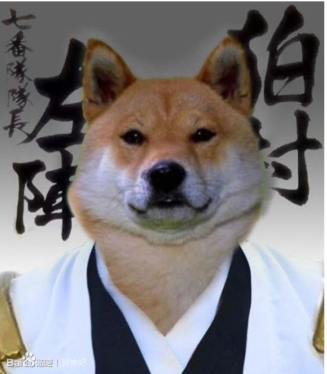 《死神》中無解能力Top 20 友哈巴赫全知能力怎么破?