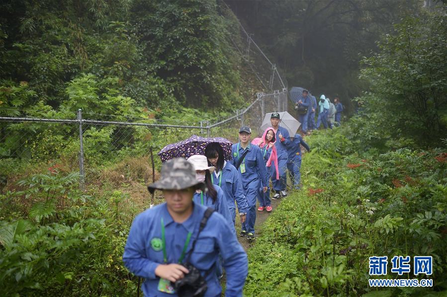臺(tái)灣青年“探秘”四川臥龍大熊貓野化培訓(xùn)基地