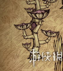 Ģ(sh)L(zhng)(li)ĕr(sh)@(g)r(sh)ͲҪĢ(yu)̎Ģ(sh)
