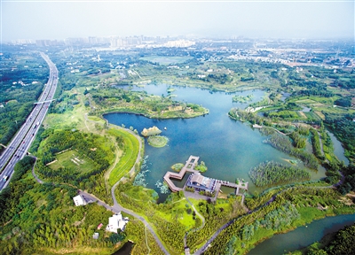 成都首個!白鷺灣濕地公園 獲批國家城市濕地公園