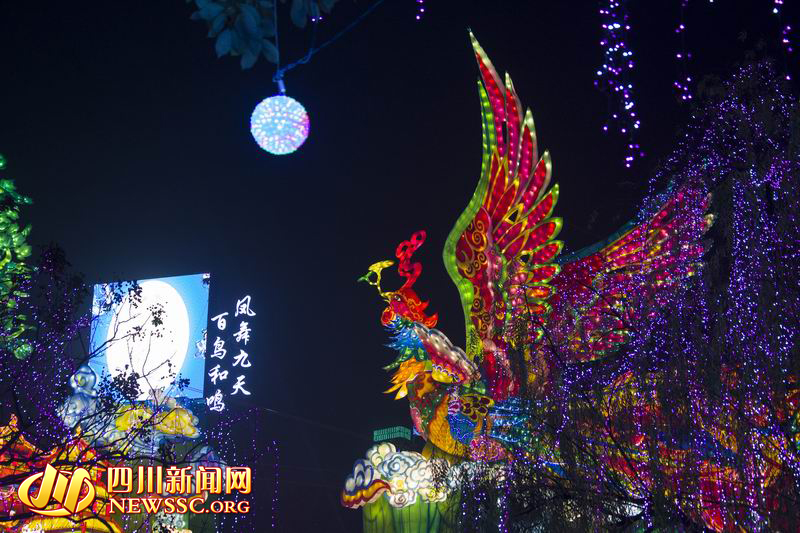 元宵節(jié)的自貢燈會(huì):流光溢彩 游人如織