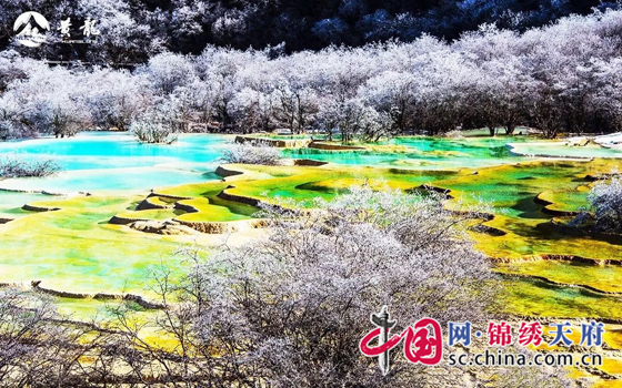 黃龍景區(qū)開門迎客 門票正式執(zhí)行旺季價